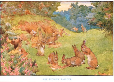 Le salon des lapins, illustration de 